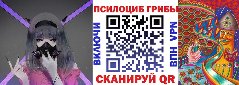 Псилоцибиновые грибы GOLDEN TEACHER Томари