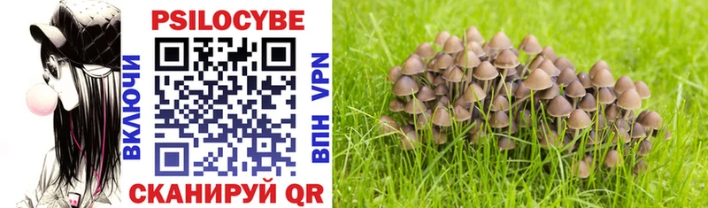 omg tor  Томари  Галлюциногенные грибы Magic Shrooms 